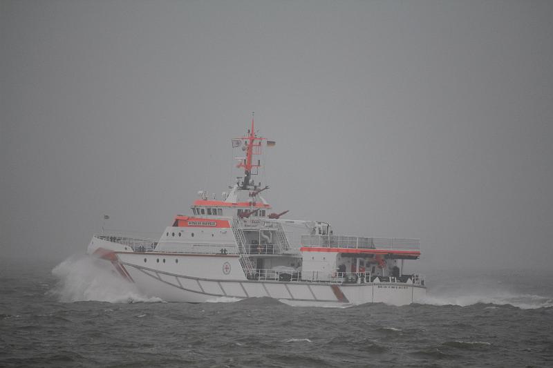33_DP-2012-007 Bild0111c.JPG